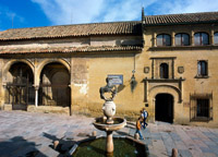 Museo bellas artes. Córdoba